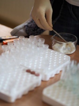 P1010055 (Small).JPG